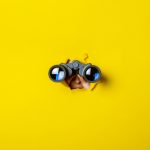 Why Competitive Intelligence Is More Important Than Ever Why Competitive Intelligence Is More Important Than Ever