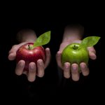 The Difference Between Sales and Presales The Difference Between Sales and Presales