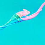 Unleashing Marketing Potential Through Continuous Learning and Innovation The Importance of Continuous Learning