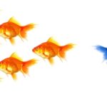 Advanced Strategies for Elevating B2B Marketing Success Advanced Strategies for Elevating B2B Marketing Success